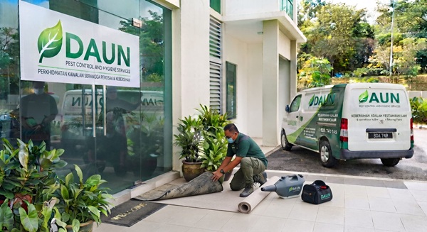 Professional carpet Services